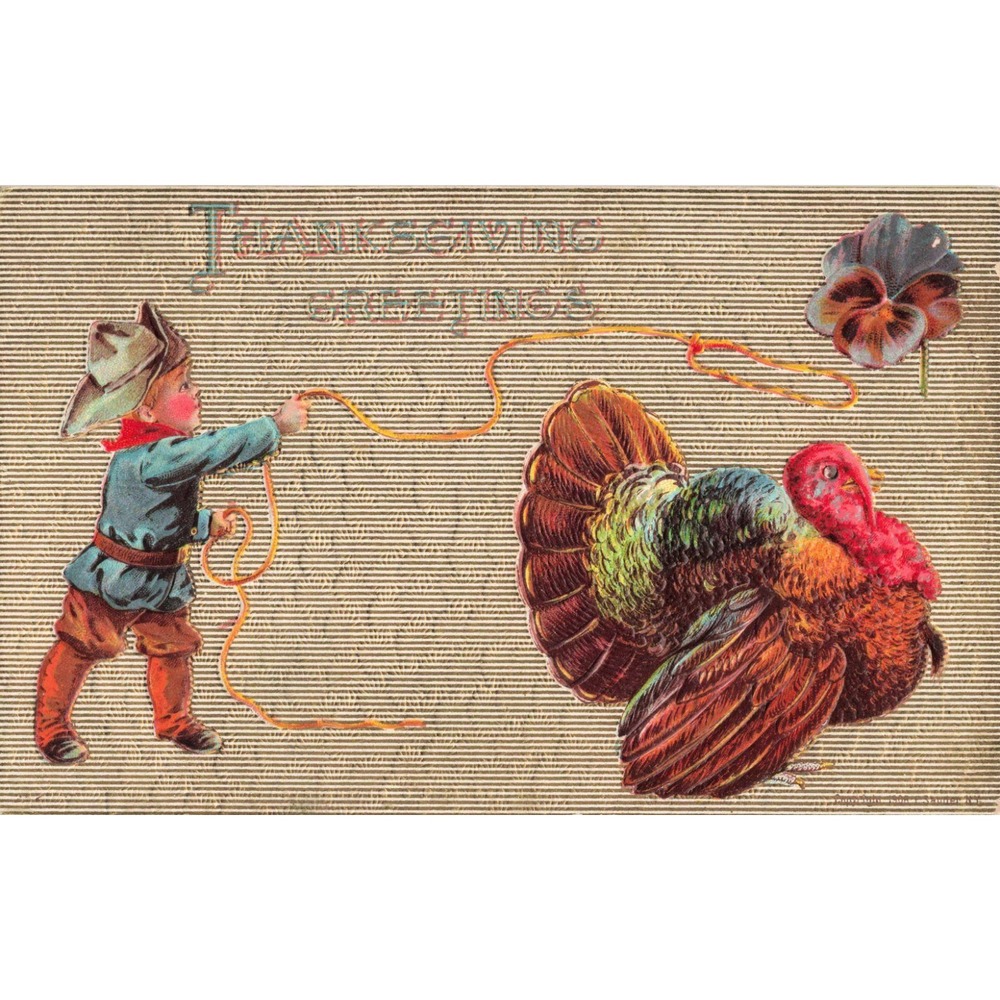 Vintage Thanksgiving Greetings Embossed Postcard Boy Lassoing Turkey Cordova AL - Picture 1 of 2